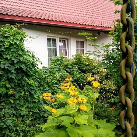 Aparthotel Biały Dom Ściegny Zewnętrze zdjęcie