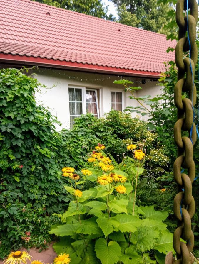 Aparthotel Biały Dom Ściegny Zewnętrze zdjęcie